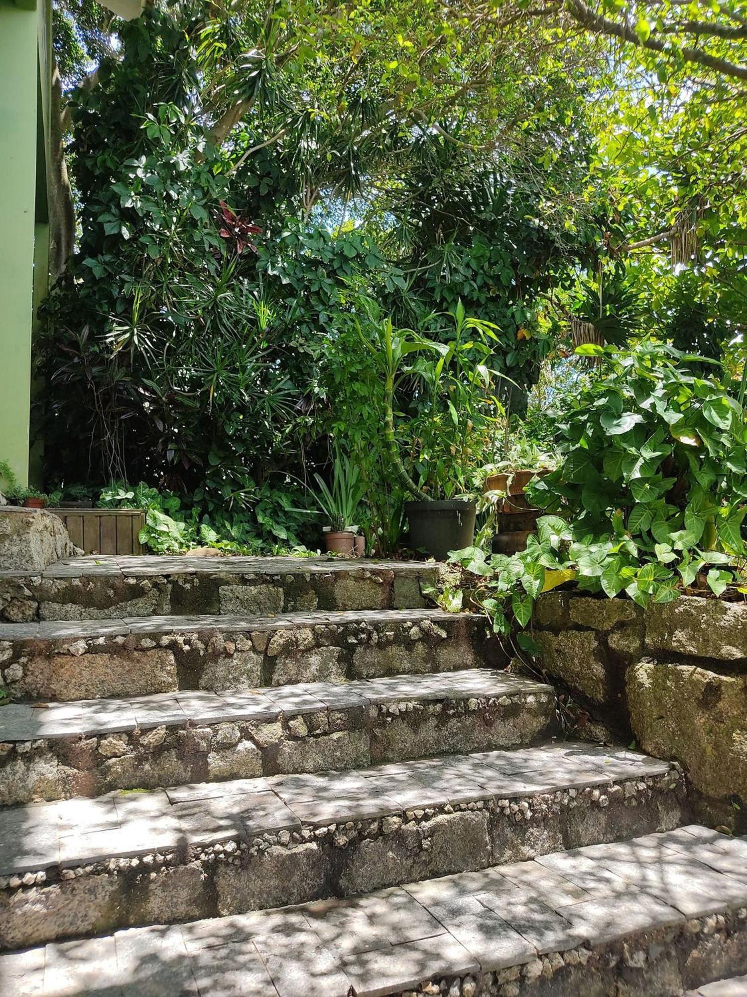 Samauma Floripa Aluguel De Quartos Florianopolis Exterior photo
